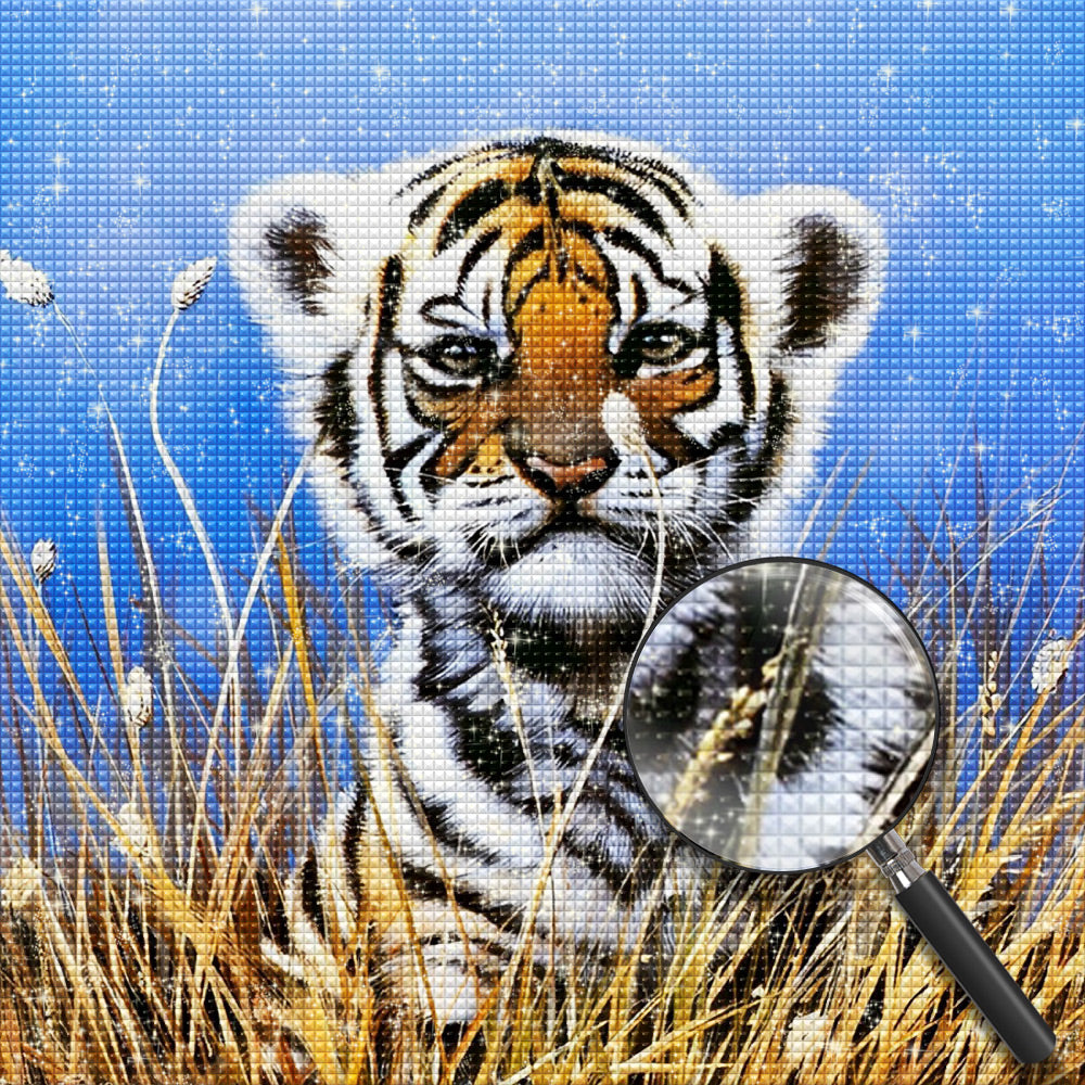 Tijger Diamond Painting DPTIGSQR110