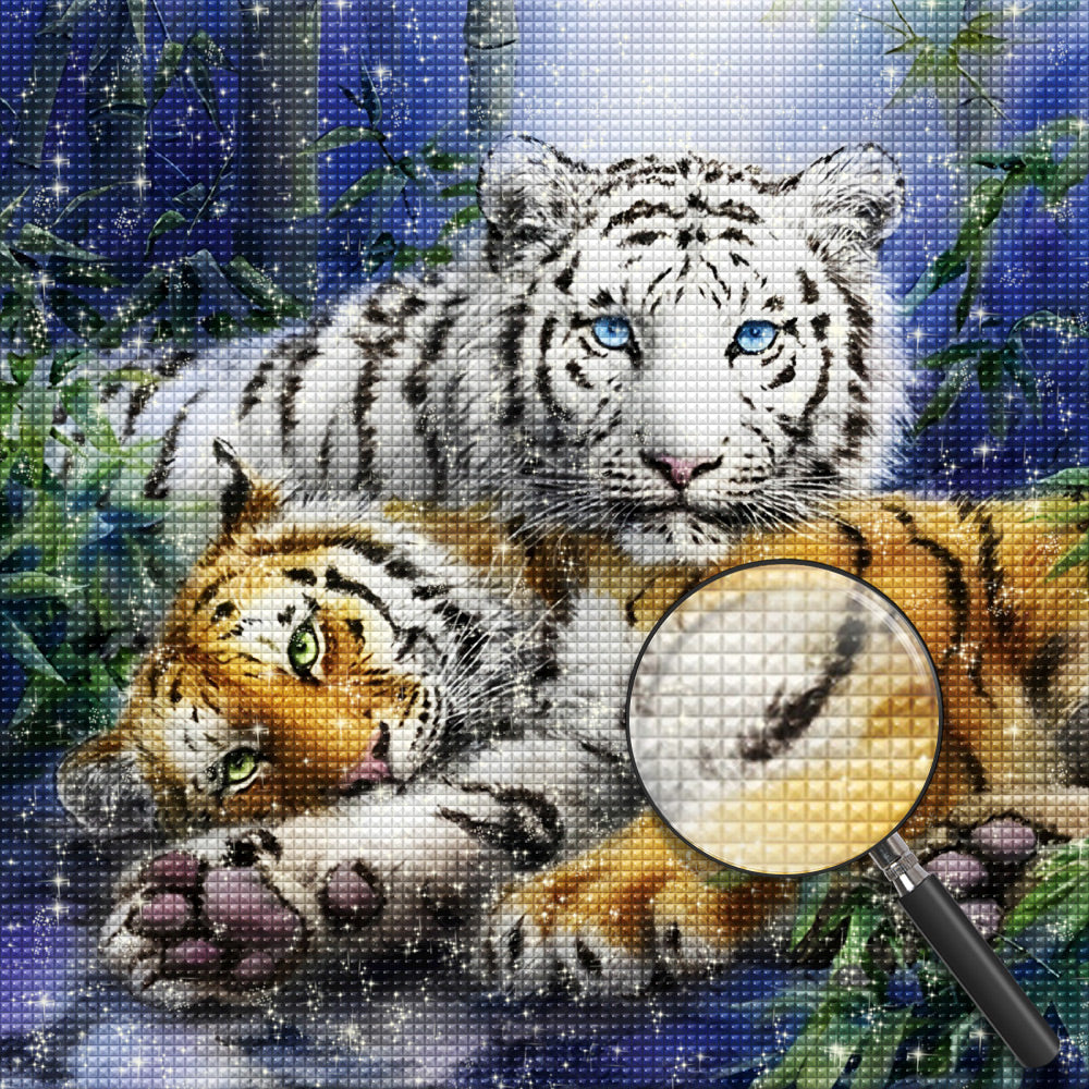 Tijger Diamond Painting DPTIGSQR121