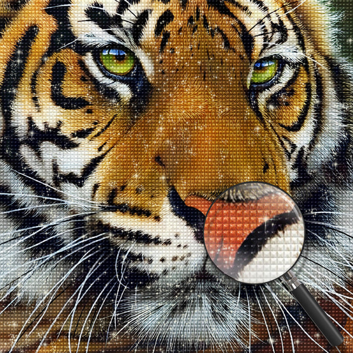 Tijger Diamond Painting DPTIGSQR19