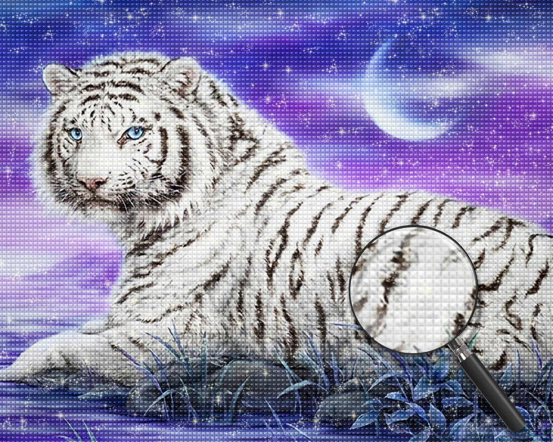 Tijger Diamond Painting DPTIGW143