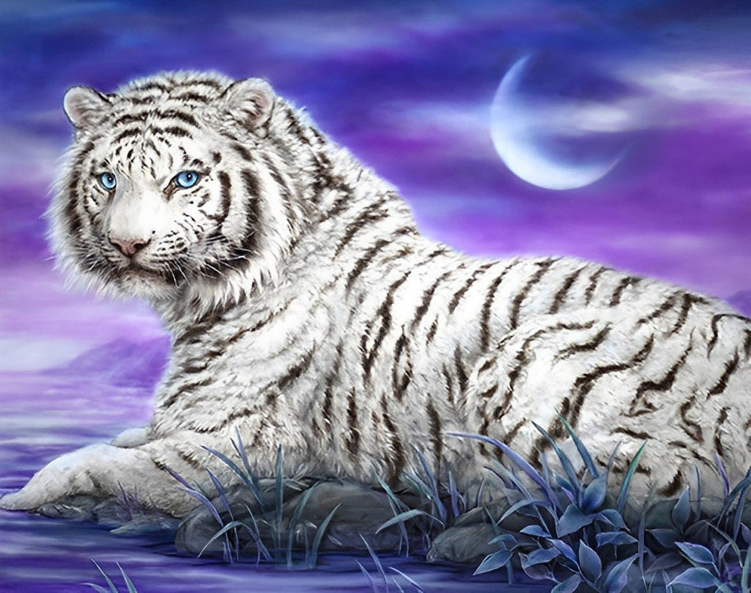 Tijger Diamond Painting DPTIGW143