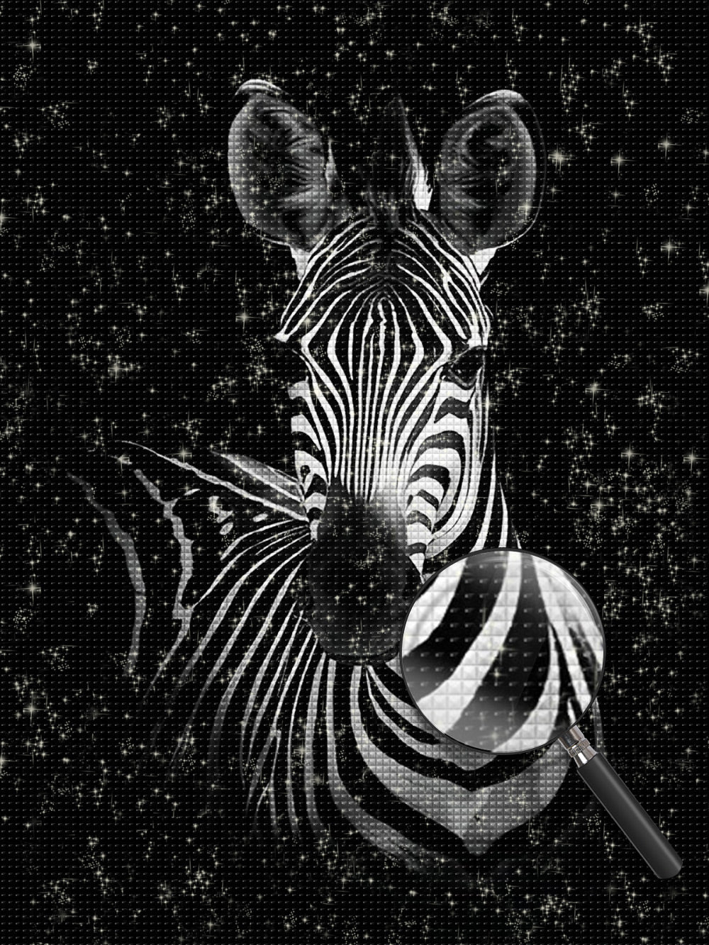 Zebra Diamond Painting DPZEBH2