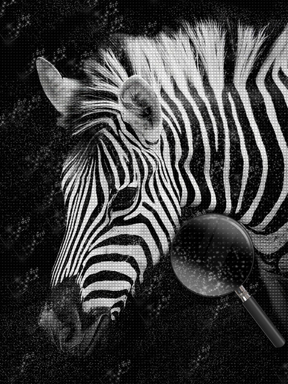 Zebra Diamond Painting DPZEBH4