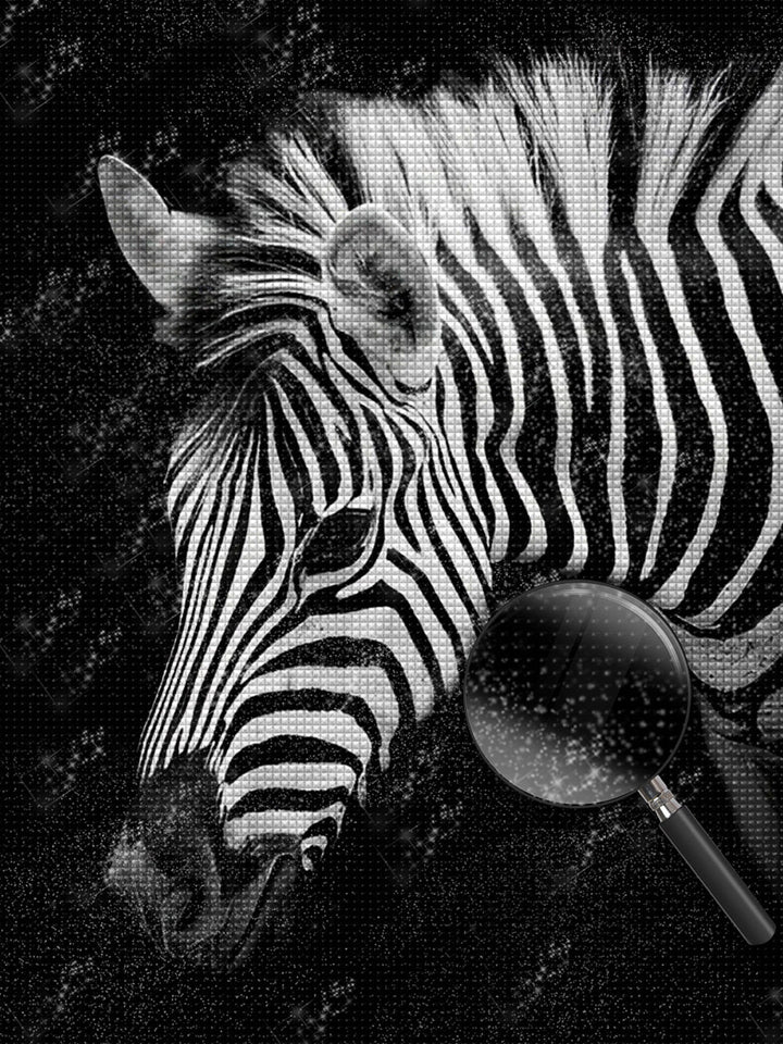 Zebra Diamond Painting DPZEBH4