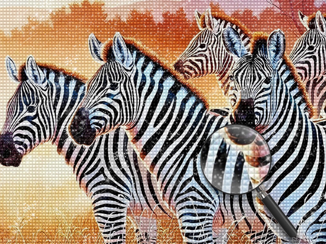 Zebra Diamond Painting DPZEBW1