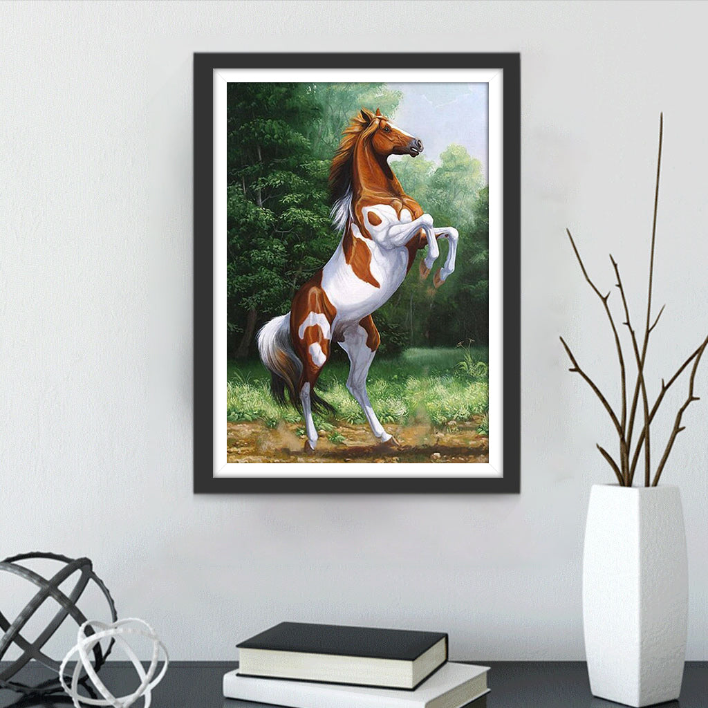 Paard Diamond Painting DPHORH60