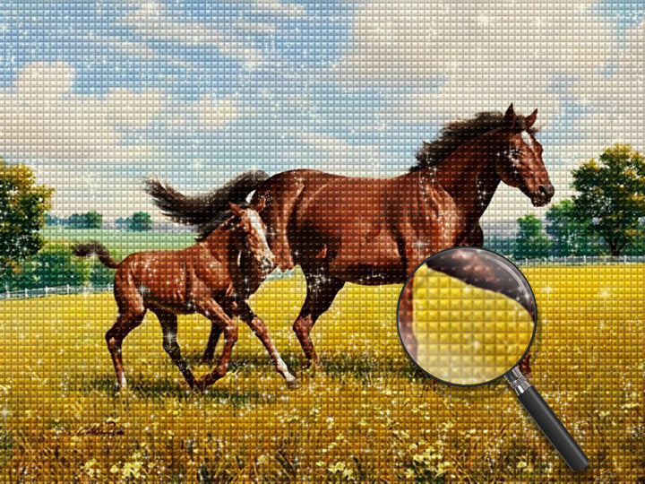 Paard Diamond Painting HORW38