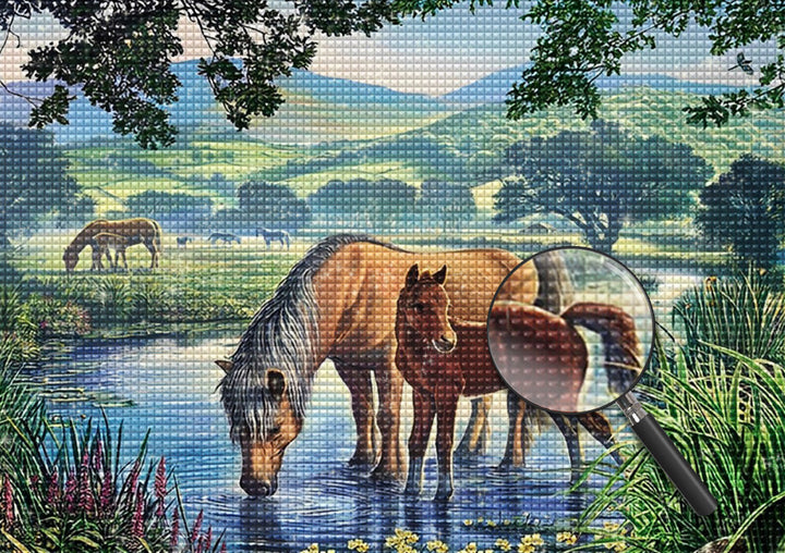 Paard Diamond Painting HORW7