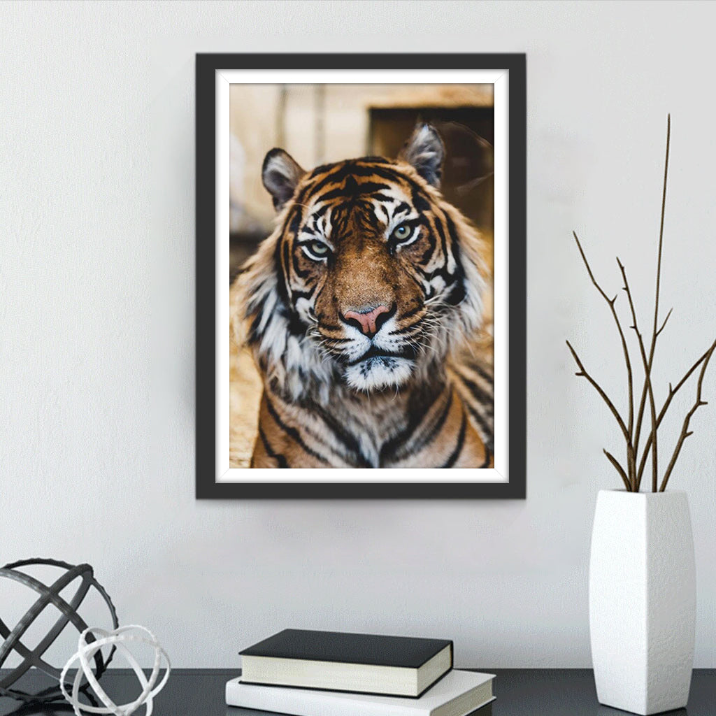 Tijger Diamond Painting DPTIGH125