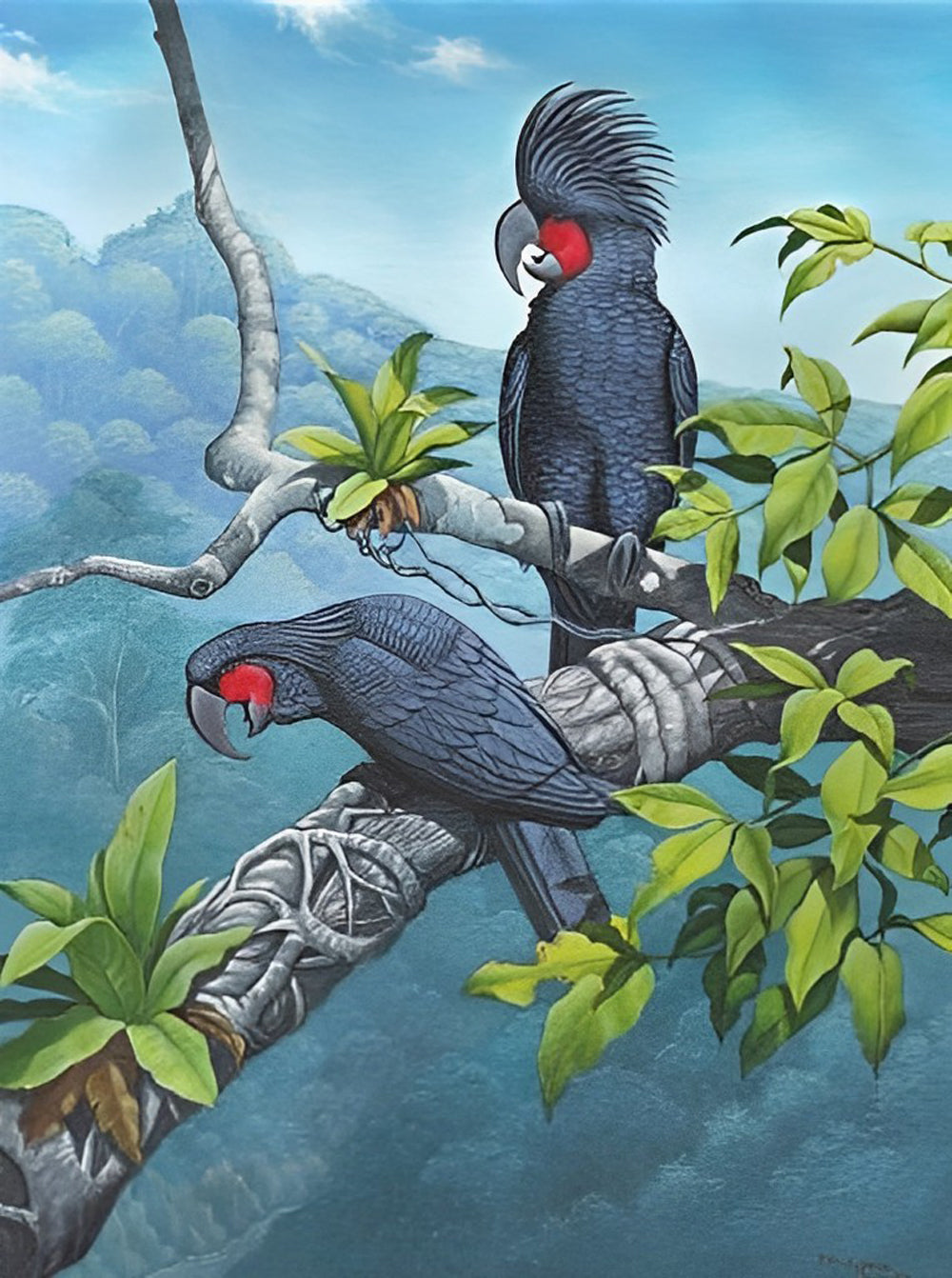 Ara papegaai Diamond Painting