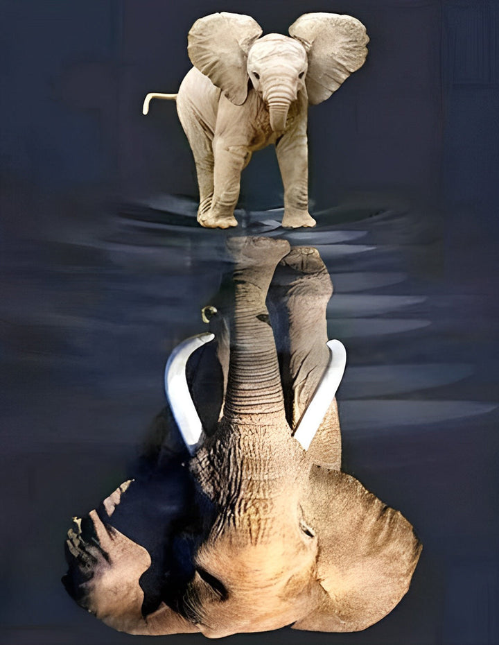 Babyolifant en Weerspiegeling van Olifant Diamond Painting