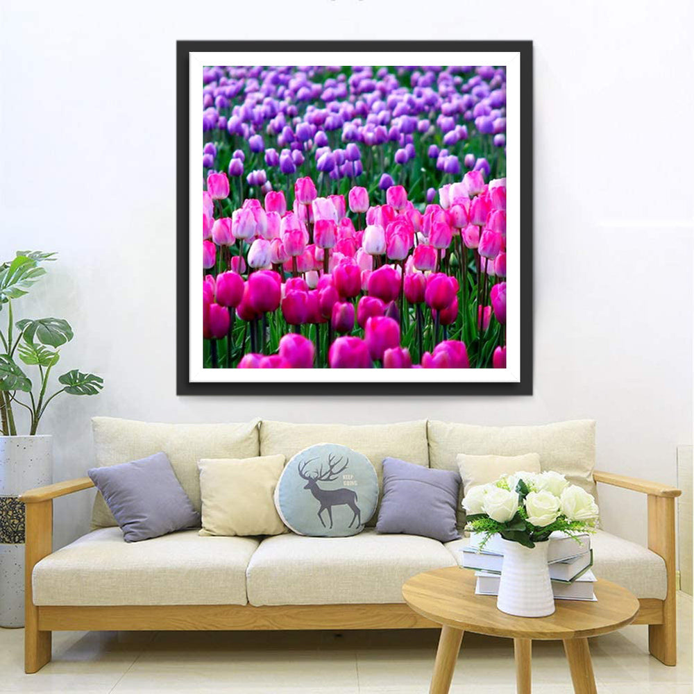 Betoverend Sprankelend Tulpenveld Diamond Painting