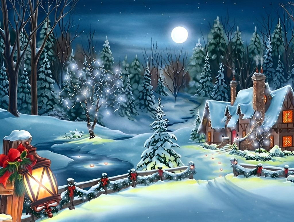 Betoverend Wintergezicht in de Nacht Diamond Painting