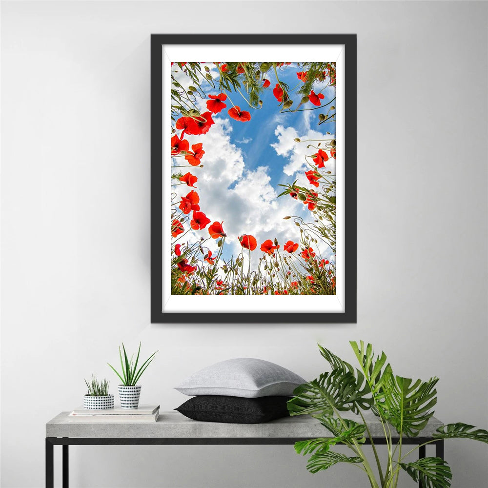 Betoverende Cirkel van Klaprozen onder een Wolkendek Diamond Painting