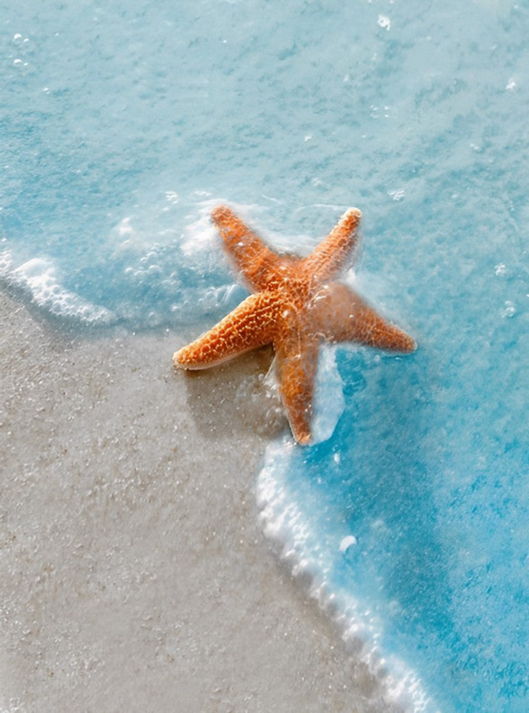Betoverende Zeester op Strand Diamond Painting
