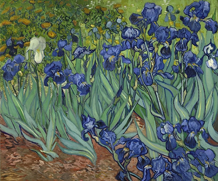 Blauwe Irissen in de Tuin Diamond Painting