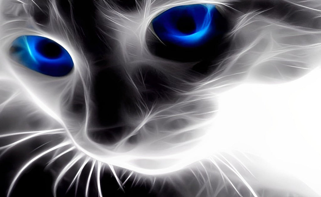 Blauwogige Kat in het Licht Diamond Painting