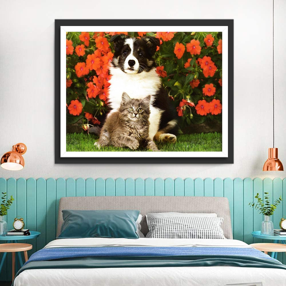 Border Collie en Kat voor Rode Bloemen Diamond Painting