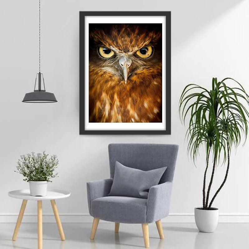 Boze Uil Diamond Painting