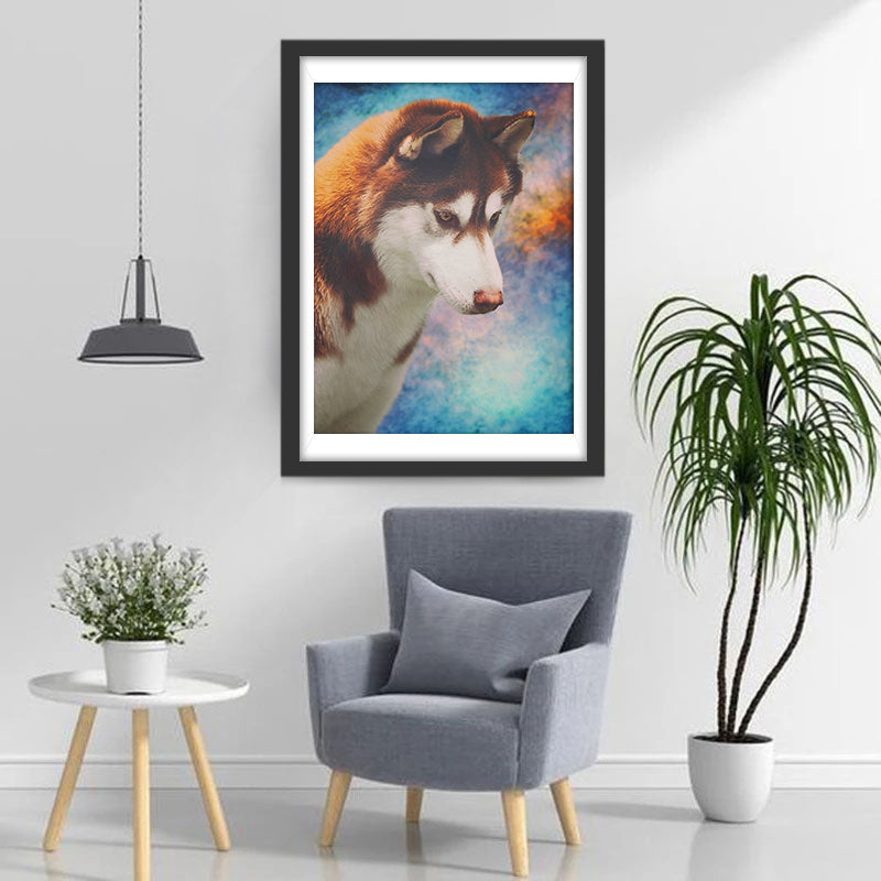 Bruine en Witte Husky Diamond Painting