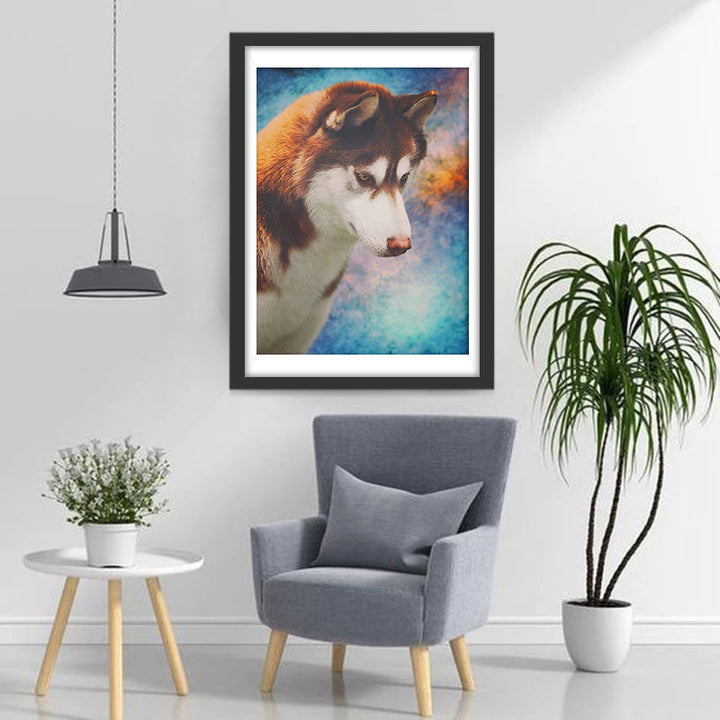 Bruine en Witte Husky Diamond Painting