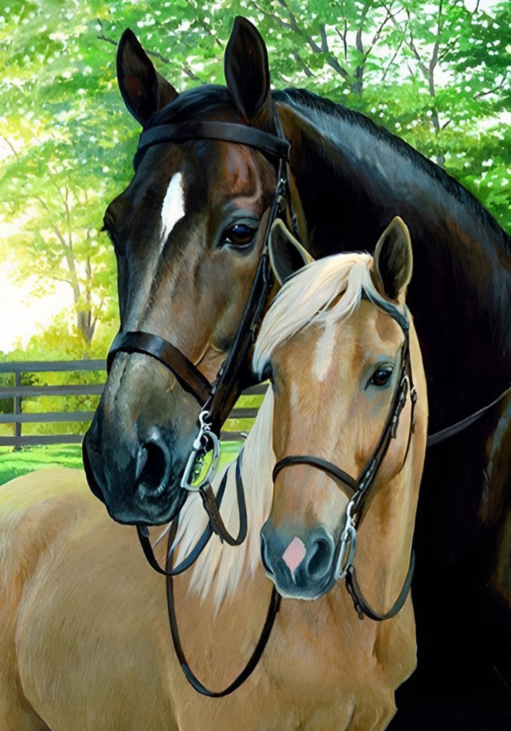 Bruine en Zwarte Paarden Diamond Painting