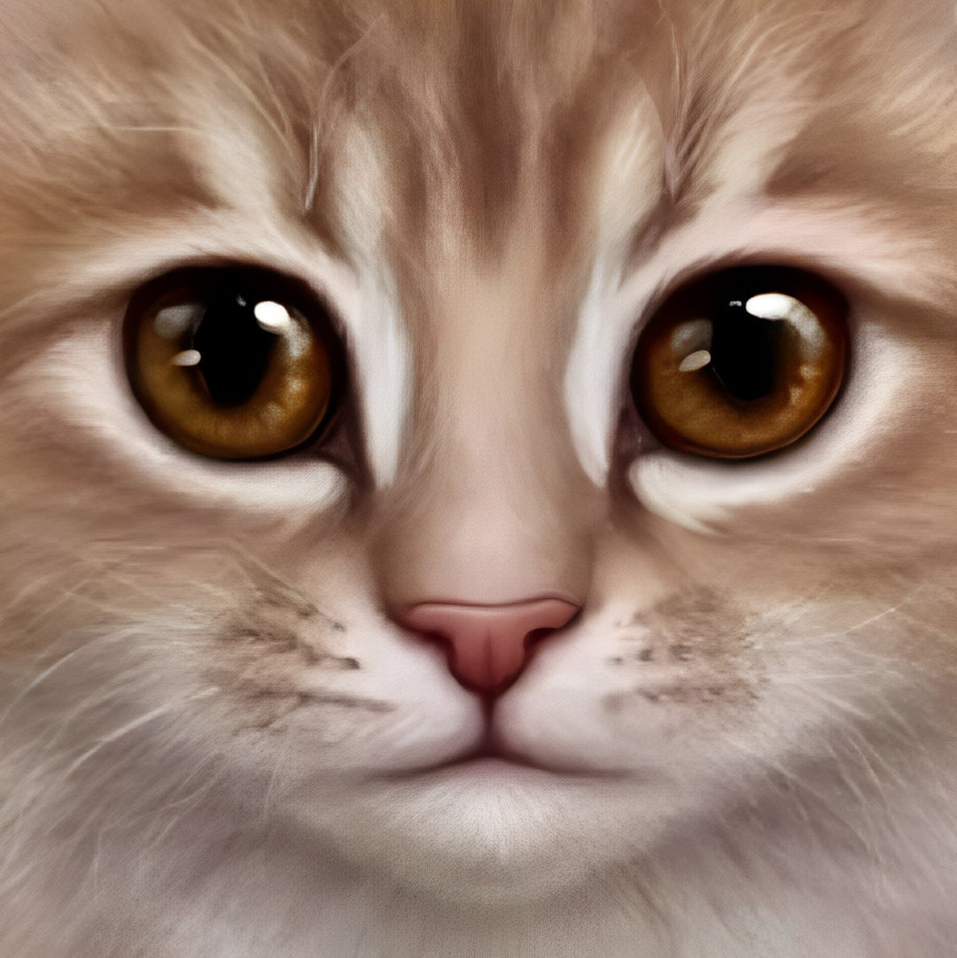 Bruine Kat Diamond Painting