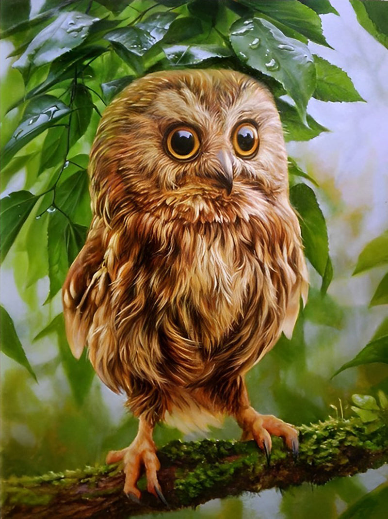 Bruine Uil op een Groene Boom Diamond Painting