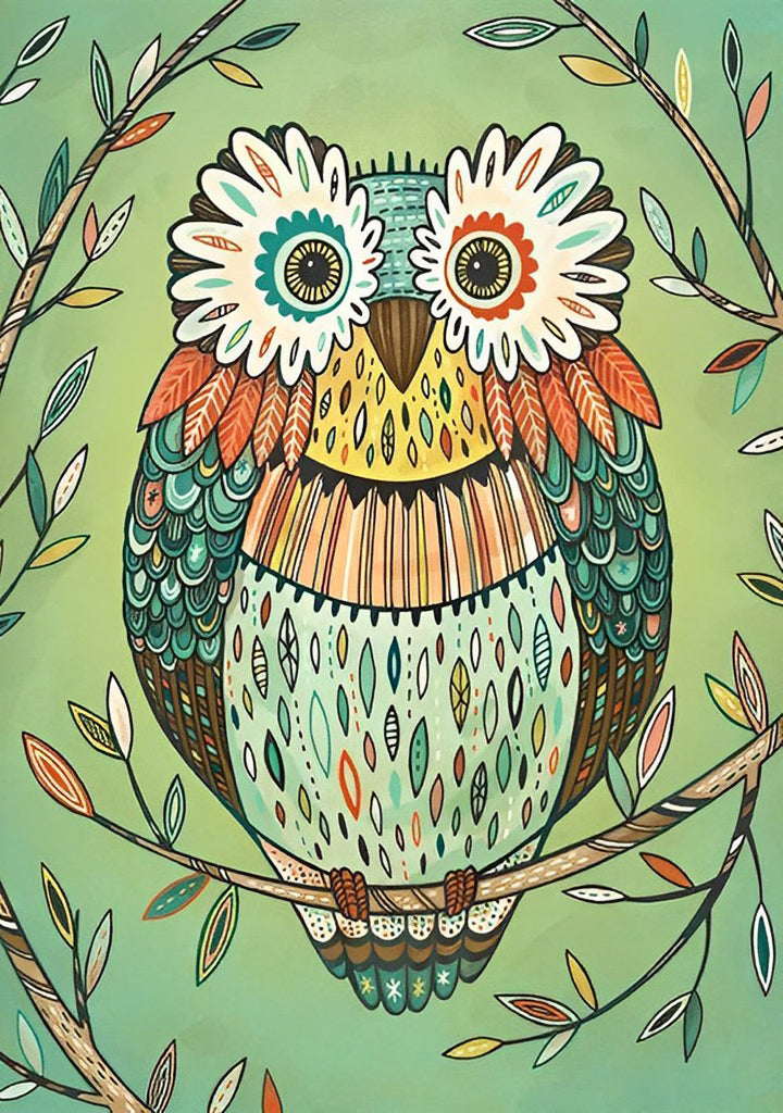 Cartoon Kleurrijke Vermomming Uil Diamond Painting