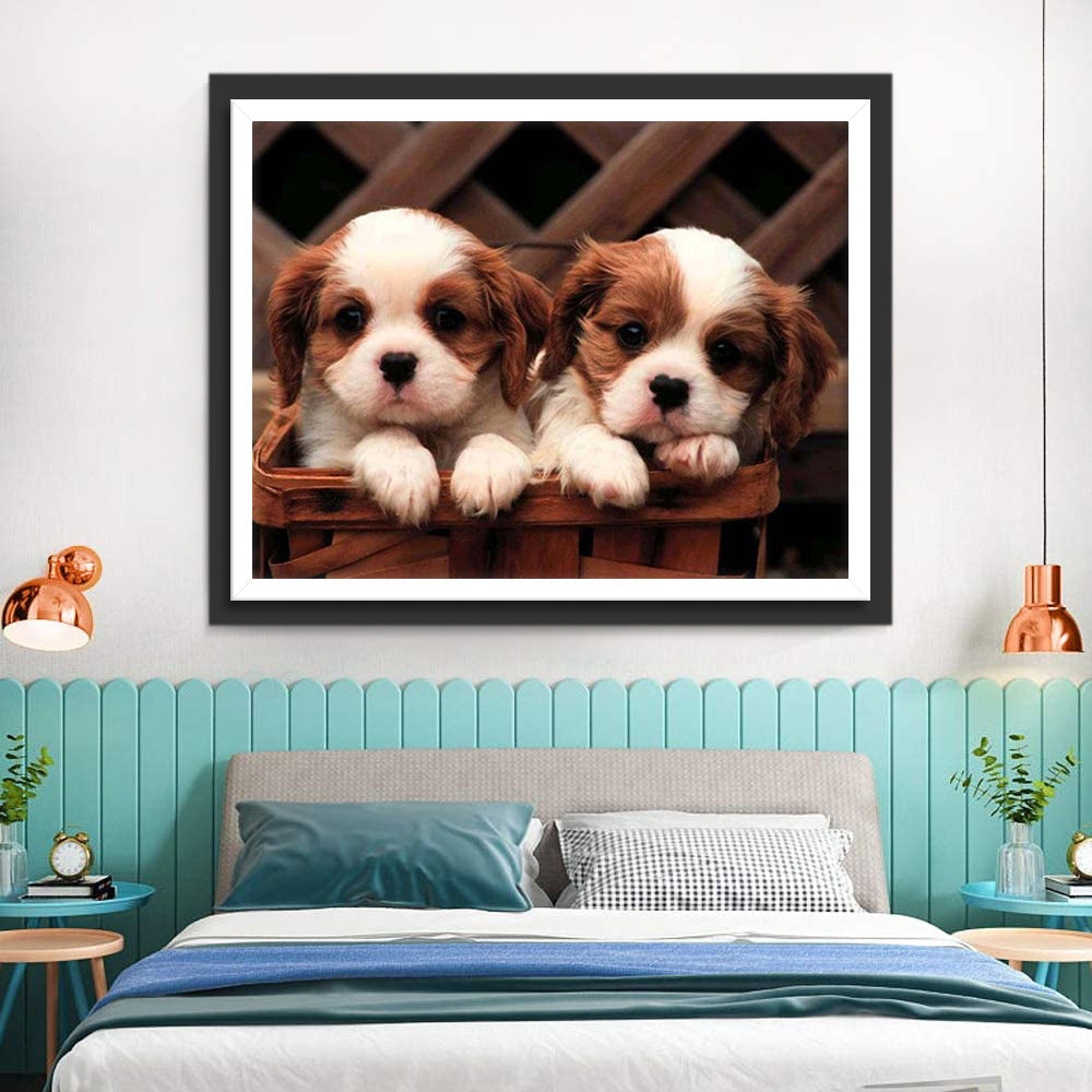 Cavalier Koning Charles Spaniël Diamond Painting