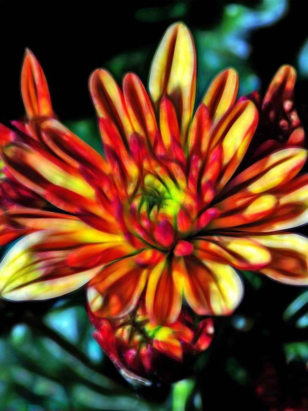 Chrysant met Levendige Rood-gele Tinten Diamond Painting