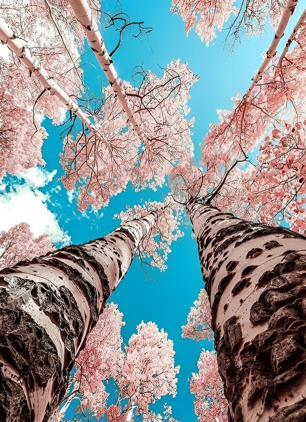 De Bomen met Roze Bloesems Diamond Painting