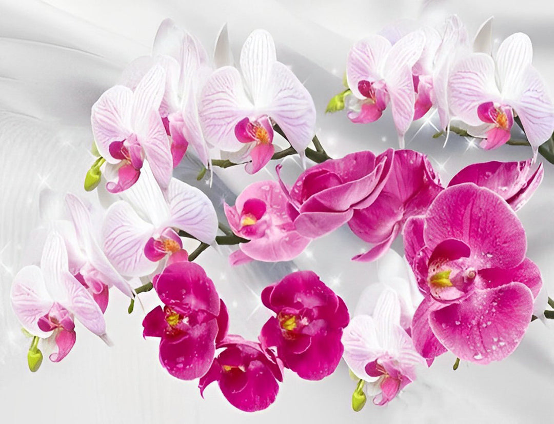 De Elegantie van Orchideeën in Pastelkleuren Diamond Painting