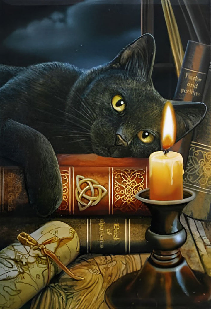 De Heksenuur Kat Diamond Painting
