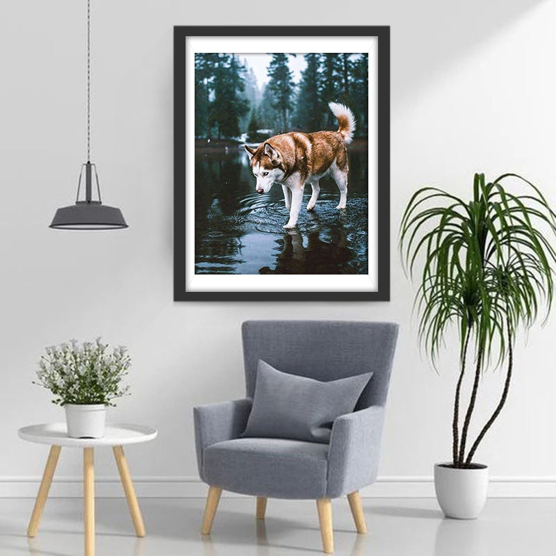 De Hond in de Rivier Diamond Painting