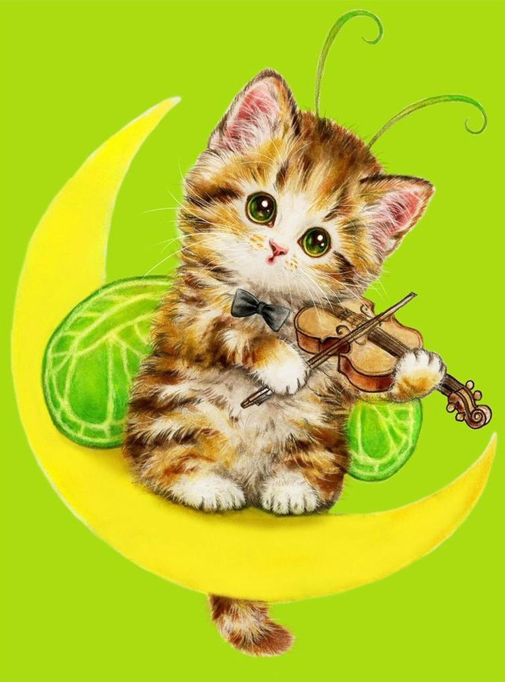De Kat die Viool Speelt op de Maan Diamond Painting