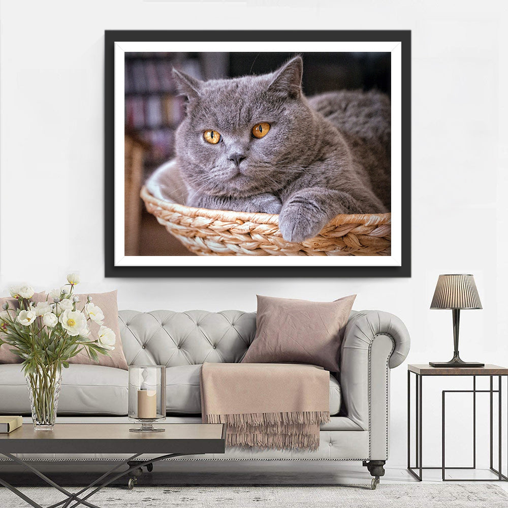 De Kat in de Mand Diamond Painting