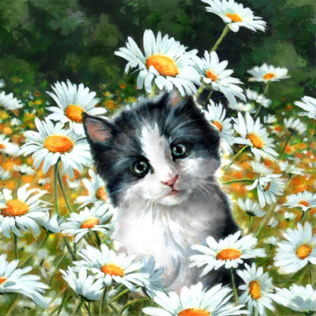 De Kat in het Madeliefjesveld Diamond Painting