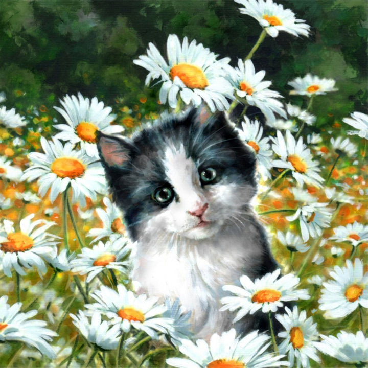 De Kat in het Madeliefjesveld Diamond Painting
