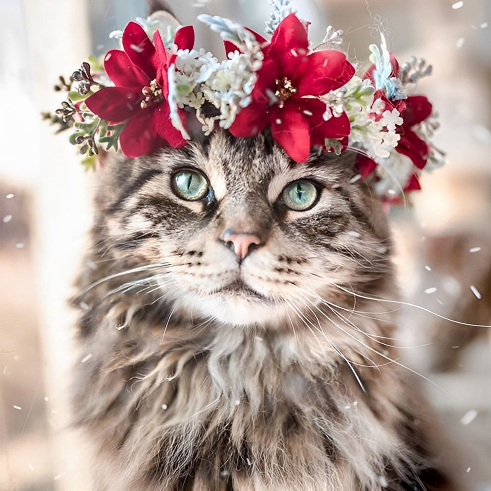 De Kat met de Rode Krans Diamond Painting