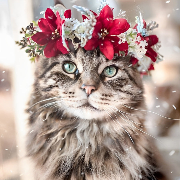 De Kat met de Rode Krans Diamond Painting