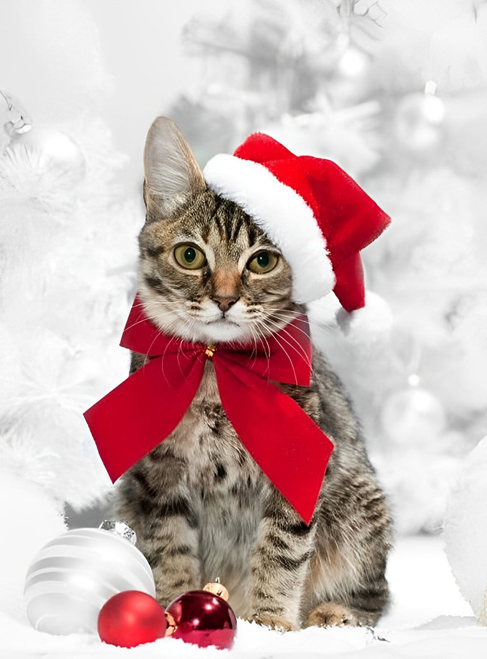 De Kerstverklede, Schattige Kat Diamond Painting