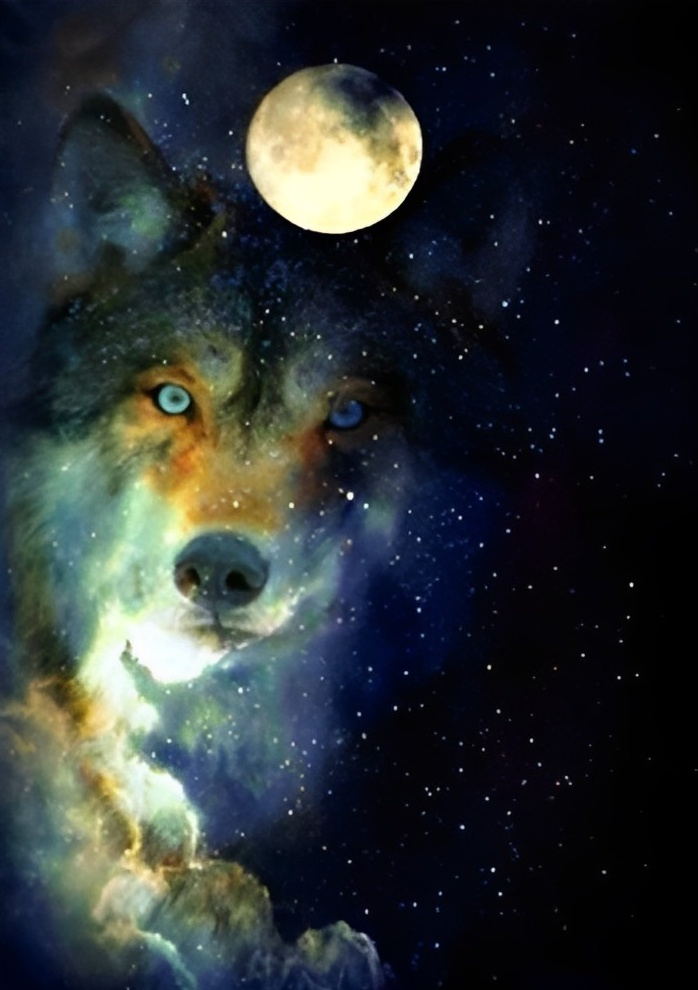 De Maan en een Wolf onder de Sterren Diamond Painting