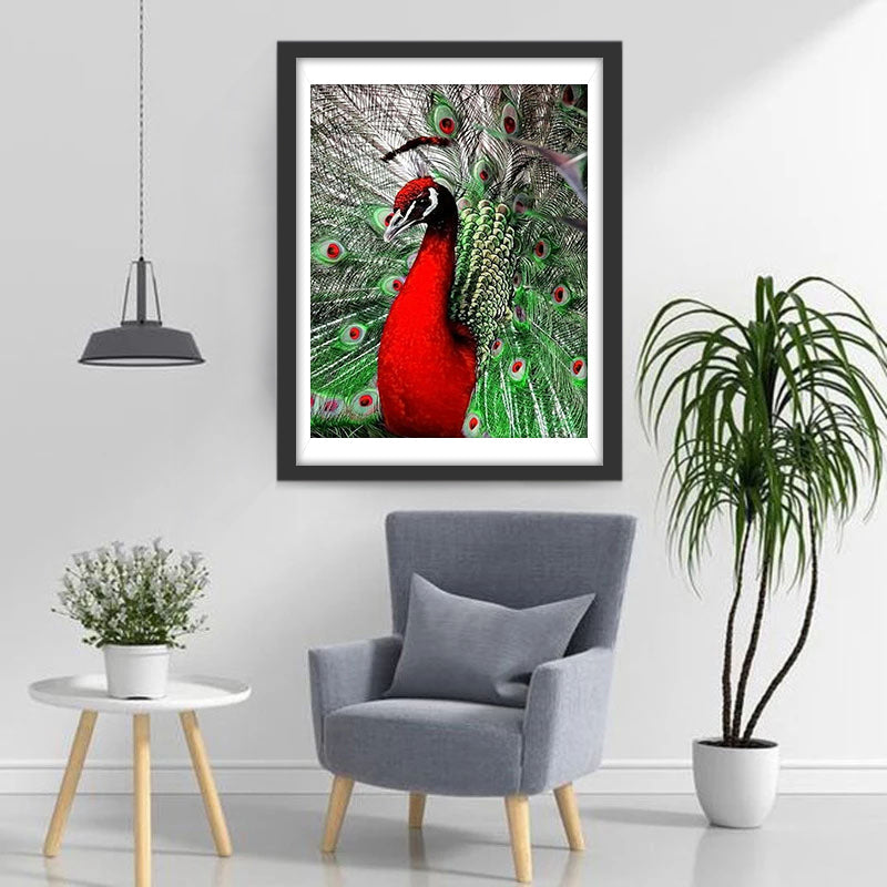 De Rode Pauw Opent zijn Groene Staart Diamond Painting