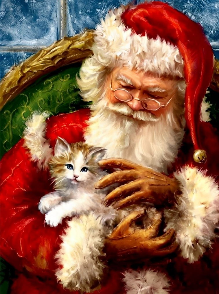 De Roode Kerstman en zijn Zachte Poesenvriend Diamond Painting