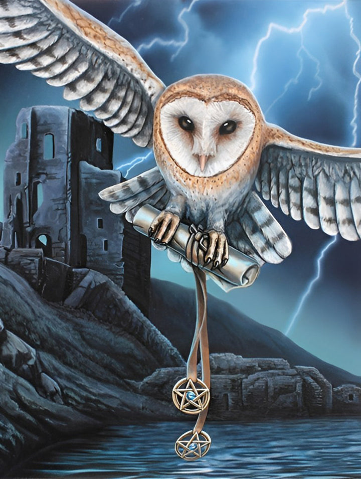 De Uil die de Boodschap Overbrengt te Midden van Donder en Bliksem Diamond Painting