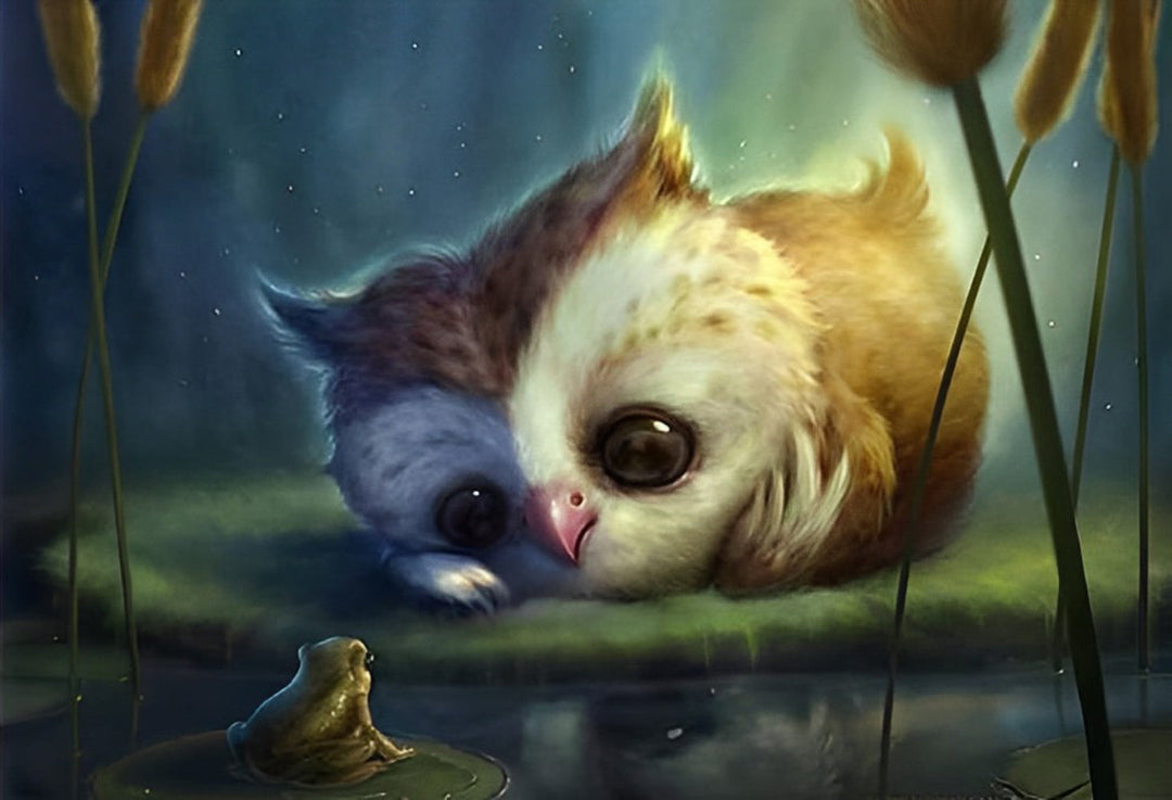 De Uil Kijkt naar de Kikker Diamond Painting