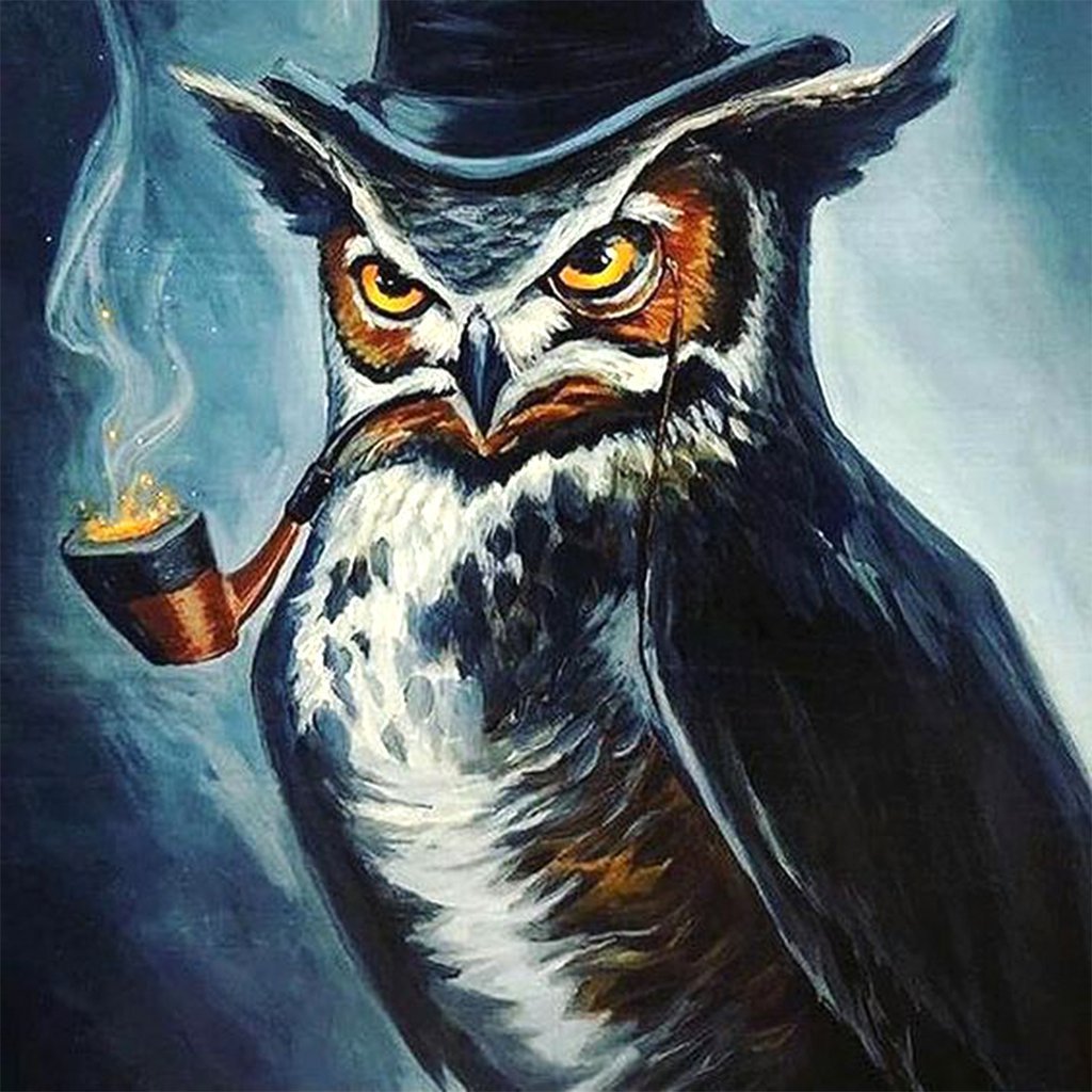 De Uil met het Fluitje Diamond Painting