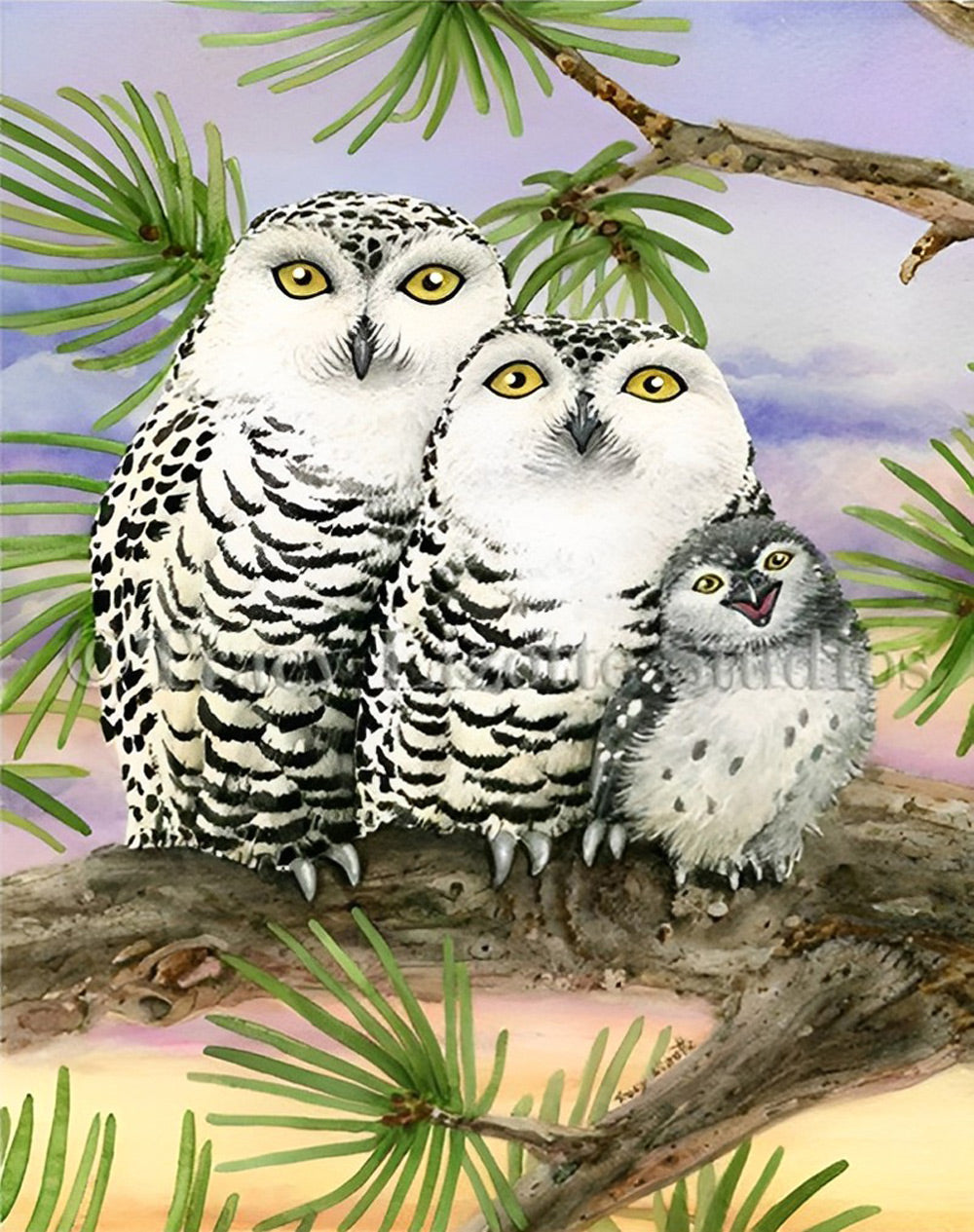 De Uilenfamilie in de Boom Diamond Painting