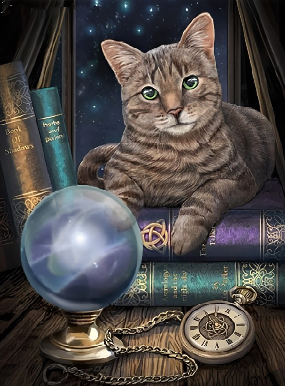 De Wereldbol en de Kat die op het Boek Ernaast liggen Diamond Painting